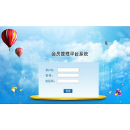 系统软件开发 黑龙江与山东的行业特色与服务优势